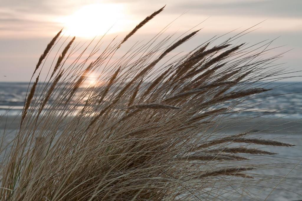Cuxland-Ferienpark Nordseebad Dorum Zewnętrze zdjęcie